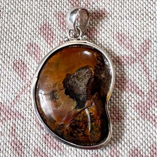 Ammonite fossil pendant