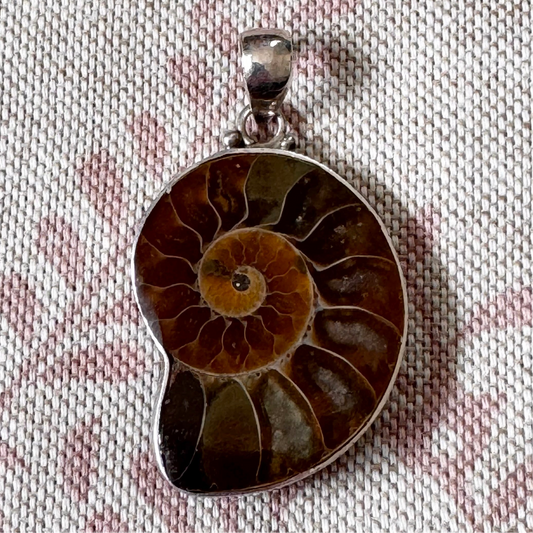 Ammonite fossil pendant