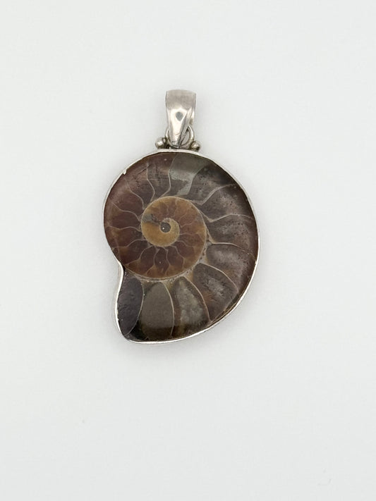 Ammonite fossil pendant